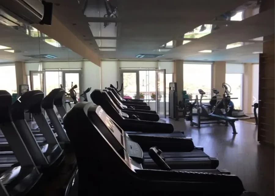 JEPET AMBIENT BIZNESI ME QERA, KODRA E DIELLIT