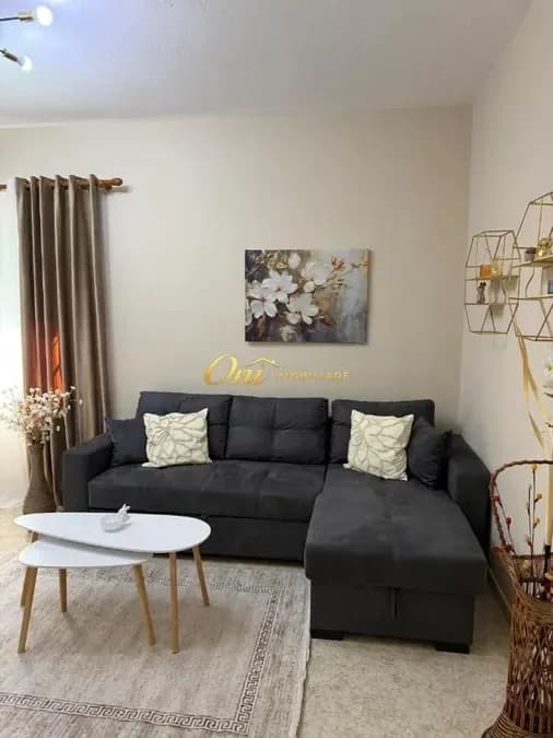 RRUGA E ELBASANIT APARTAMENT PER QERA 1+1