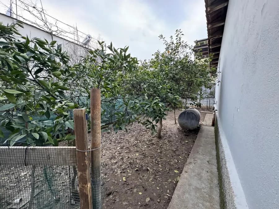 Detached House to rent Allias (Tirana - city) 4