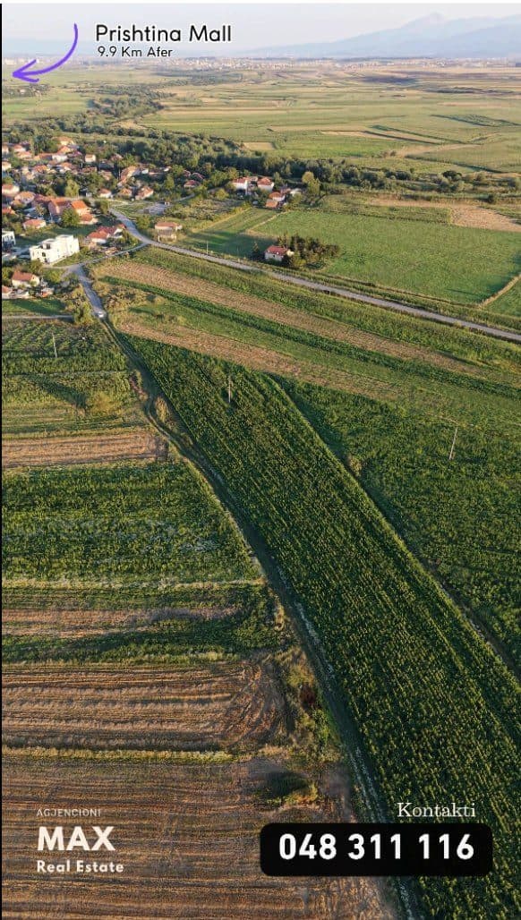 Graçanic , Lepij 4