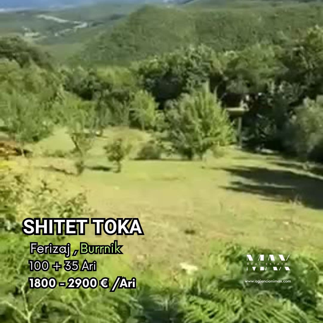 Ferizaj,Burrnik