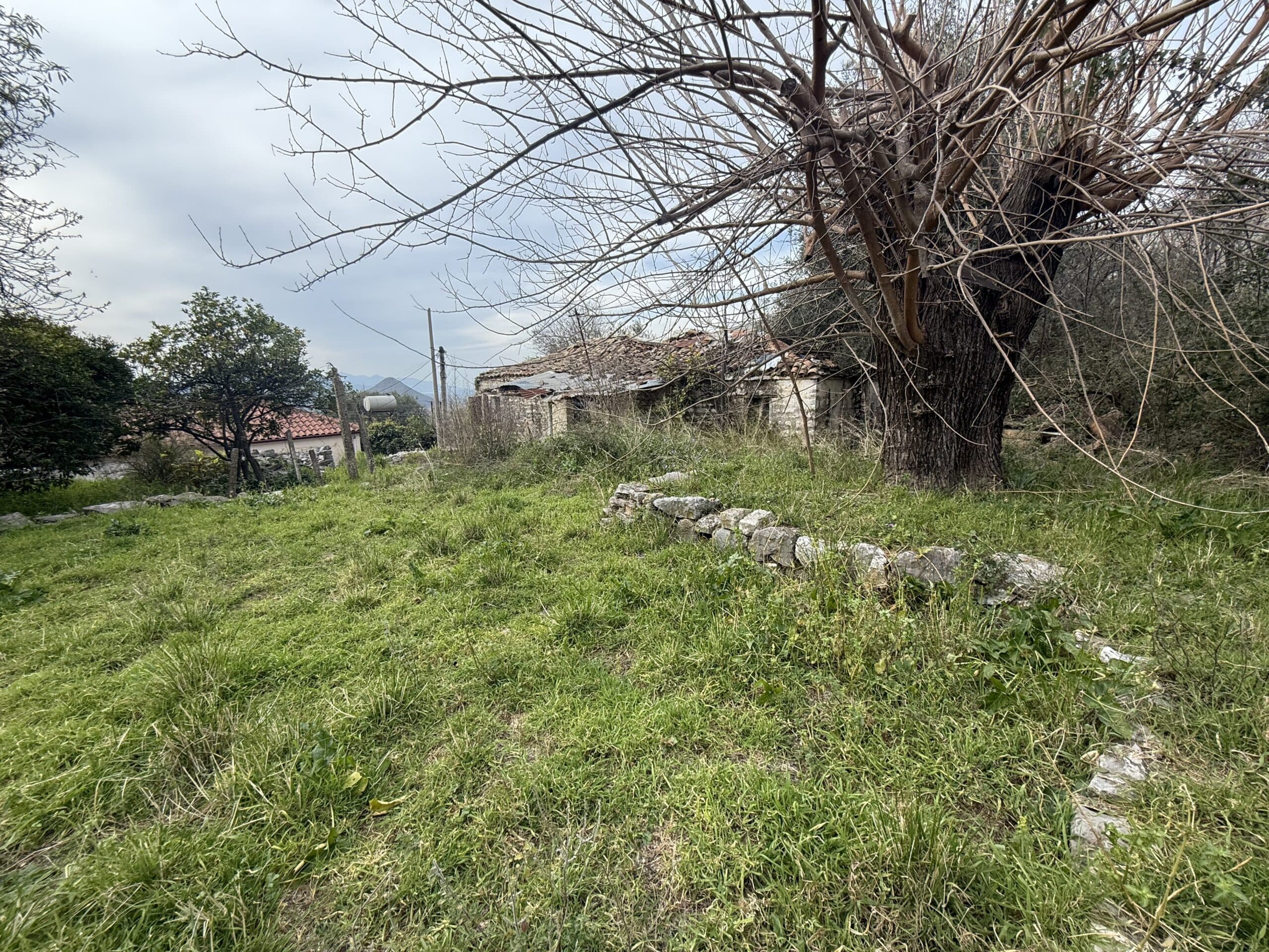 Shtëpi private për shitje në Konispol 4