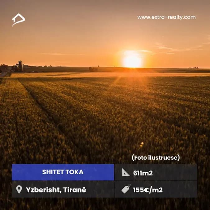 Shitet Toka Yzberisht, Tirane