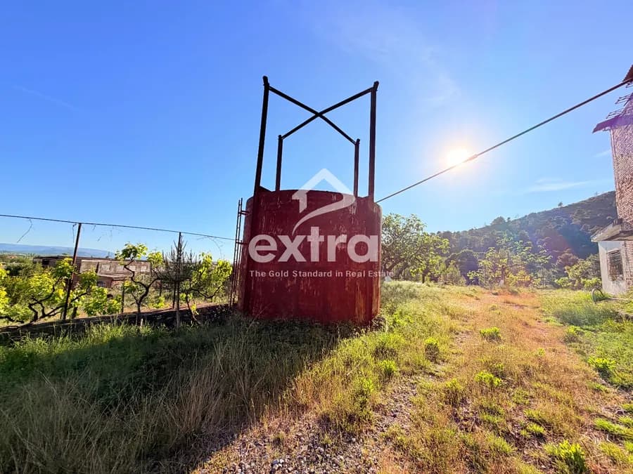 Shitet prone industriale ne rrenc shkoder
