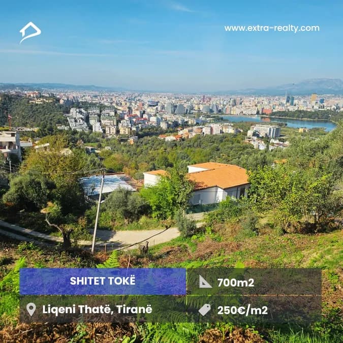 Shitet Toka Liqeni Thate, Tirane 1