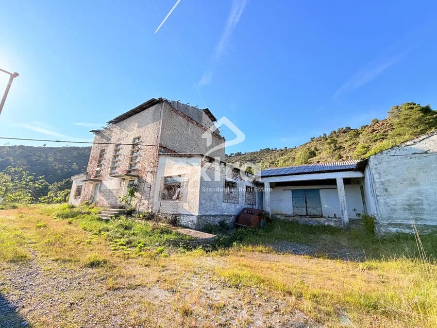 Shitet prone industriale ne rrenc shkoder
