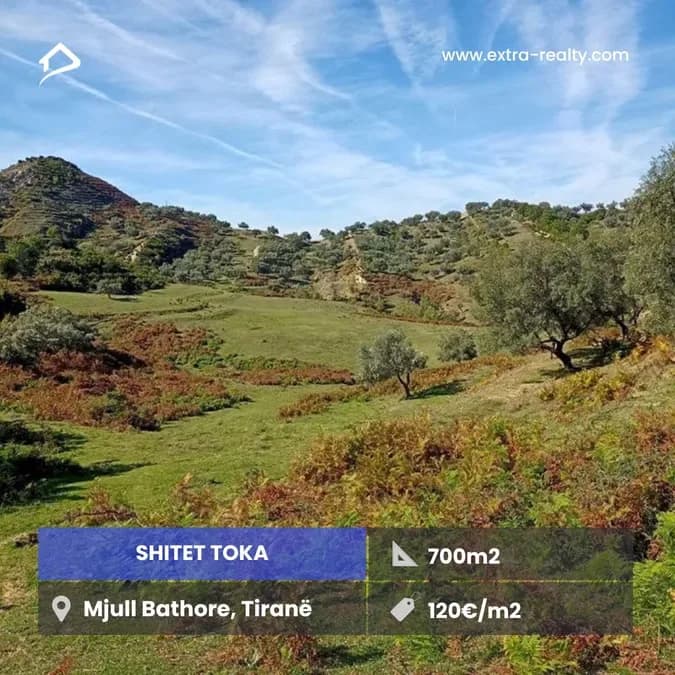 Shitet Toka Mjull Bathore, Tirane