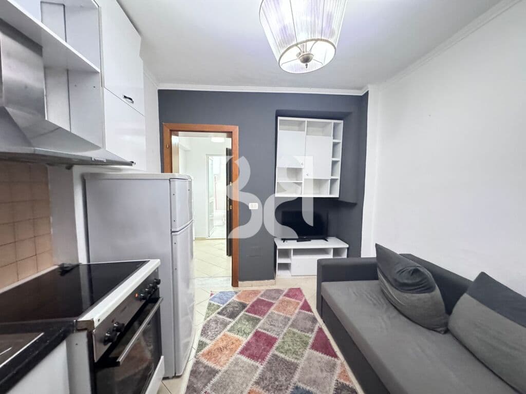 JAPIM APARTAMENT 1+1 ME QIRA SHESHI WILLSON 2