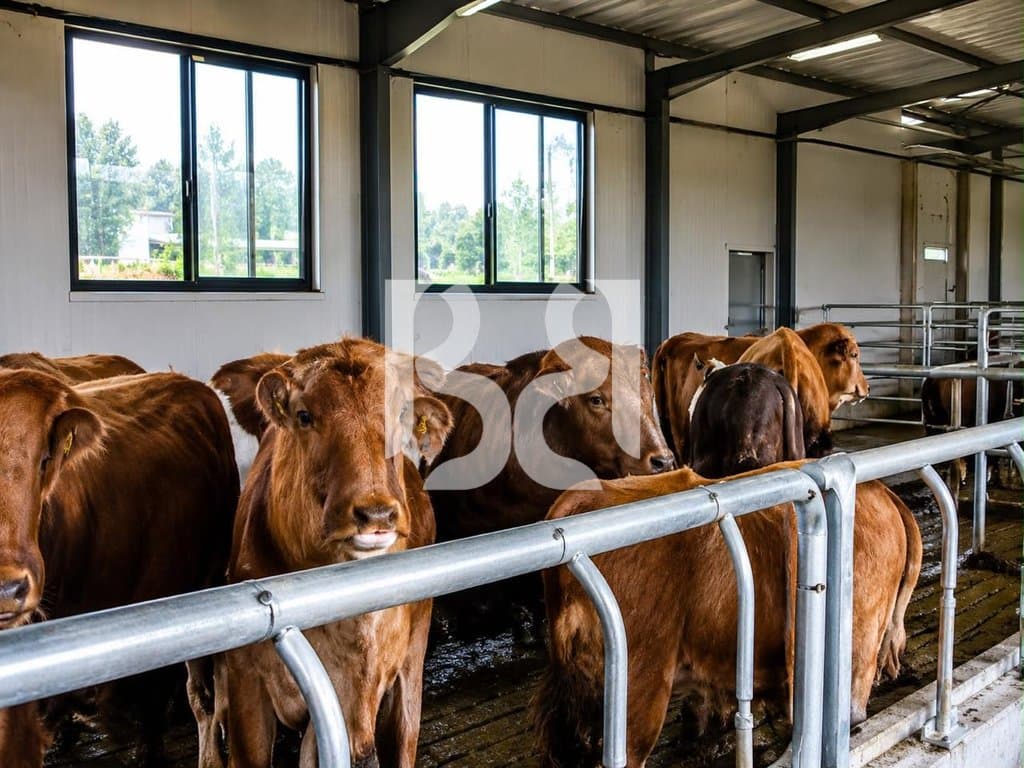 FERME–AGROTURIZEM PRENIUM ME QIRA PRANE RINASIT