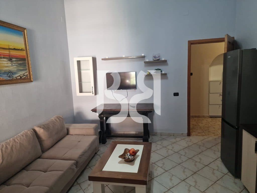 APARTAMENT ME QERA 1+1 TE SHESHI WILSON 3