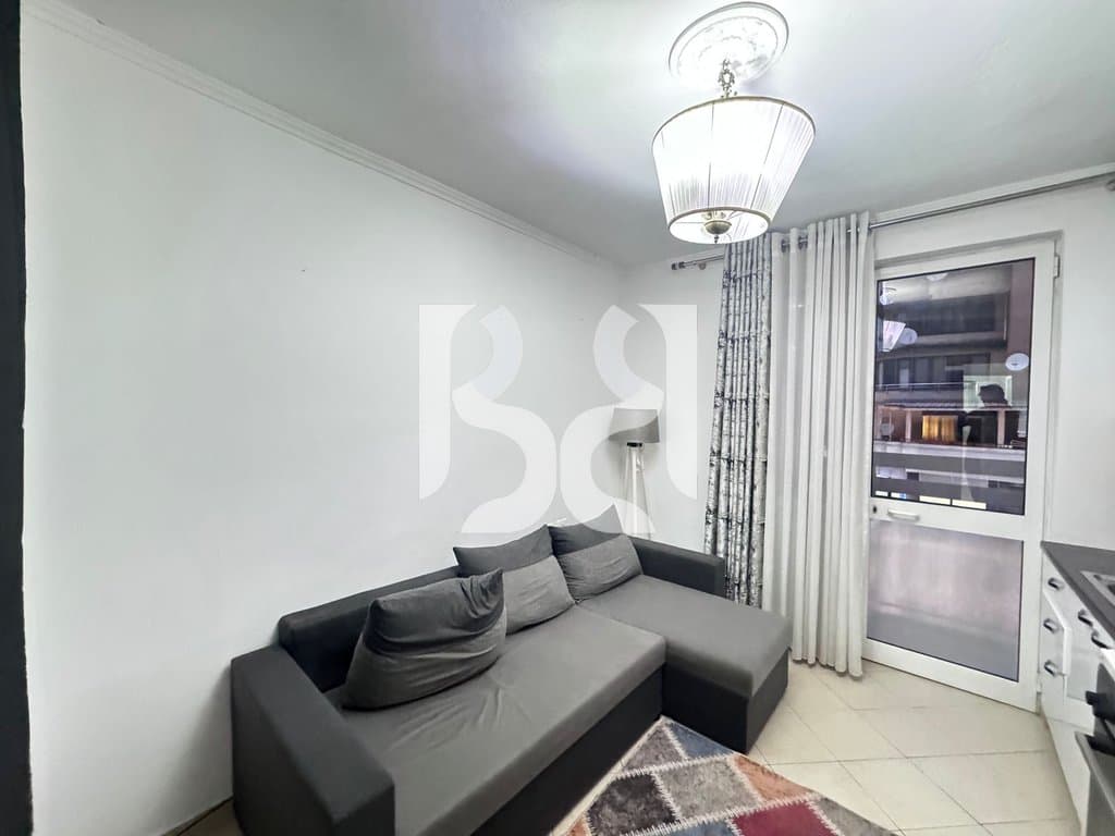 APARTAMENT 1+1 ME QIRA SHESHI WILLSON / ISH-BLLOKU