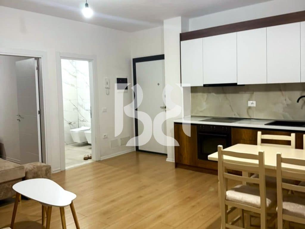 Apartament 1+1 me Qira në Bulevardin e Ri – Kati 9 | Pallat i Ri | I Mobiluar 3