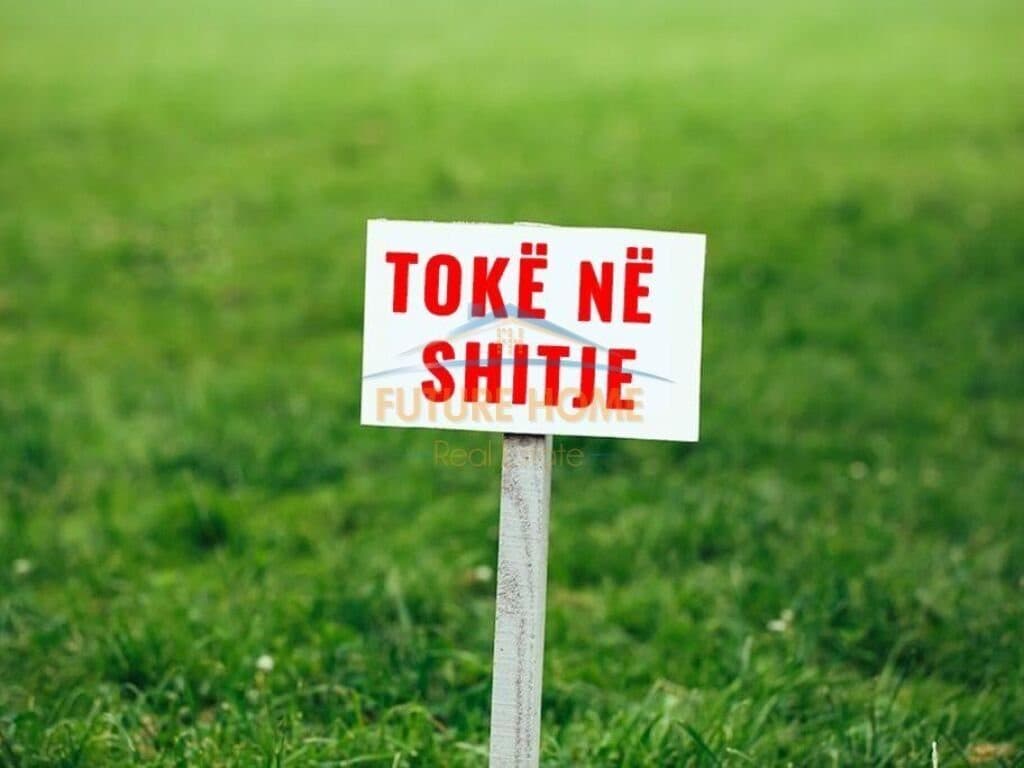 Shitet, Tokë, Borsh.