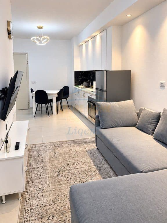 Në shitje 2+1 i ndarë në 2 apartamente 1+1, Kopshti Botanik, Tiranë