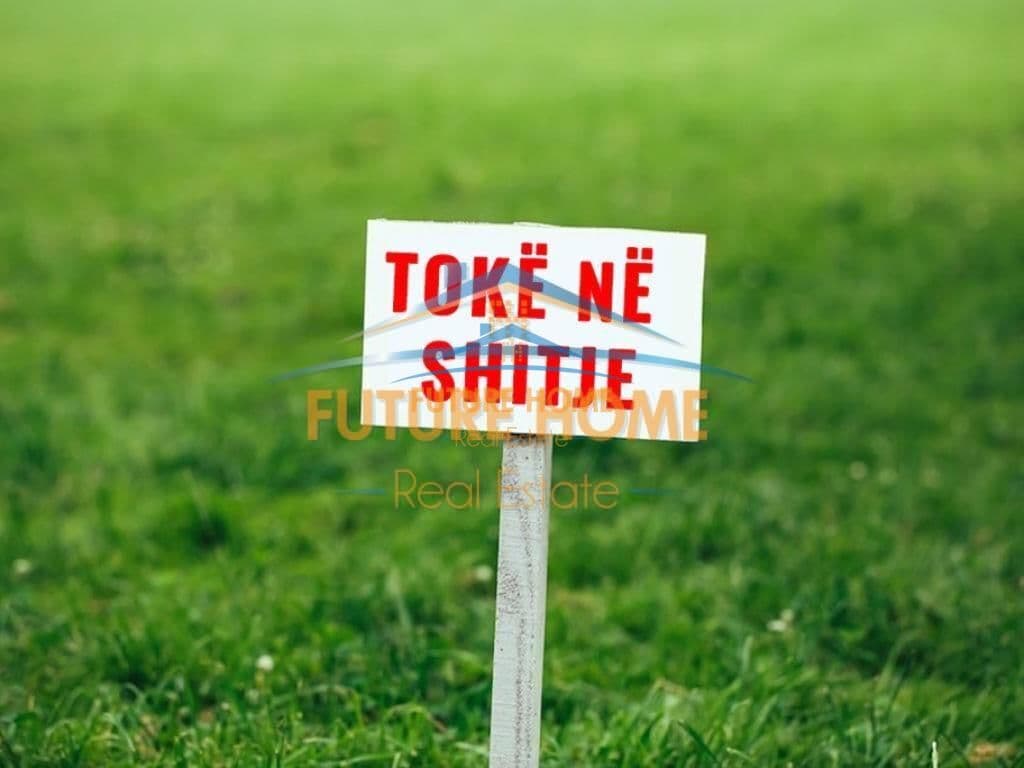 Shitet, Toke, Xhafzotaj, Durres.