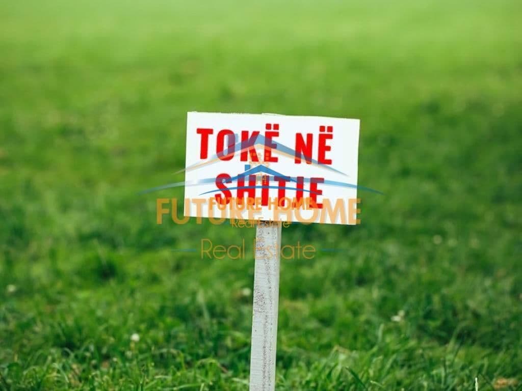 Shitet, Toke ne Bilaj, Fushë-Krujë.