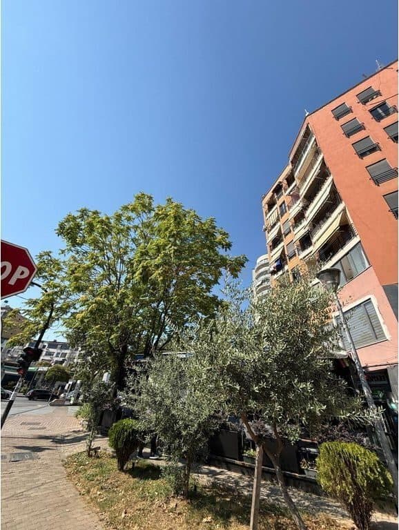 Në shitje, Apartament 2+1+2, Zogu i Zi, Tiranë. 3