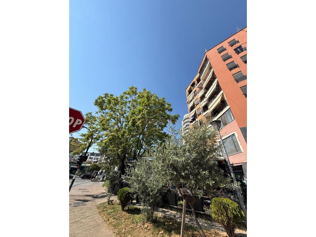 Shitet, Apartament 2+1+2, Zogu i Zi, Tiranë. 2