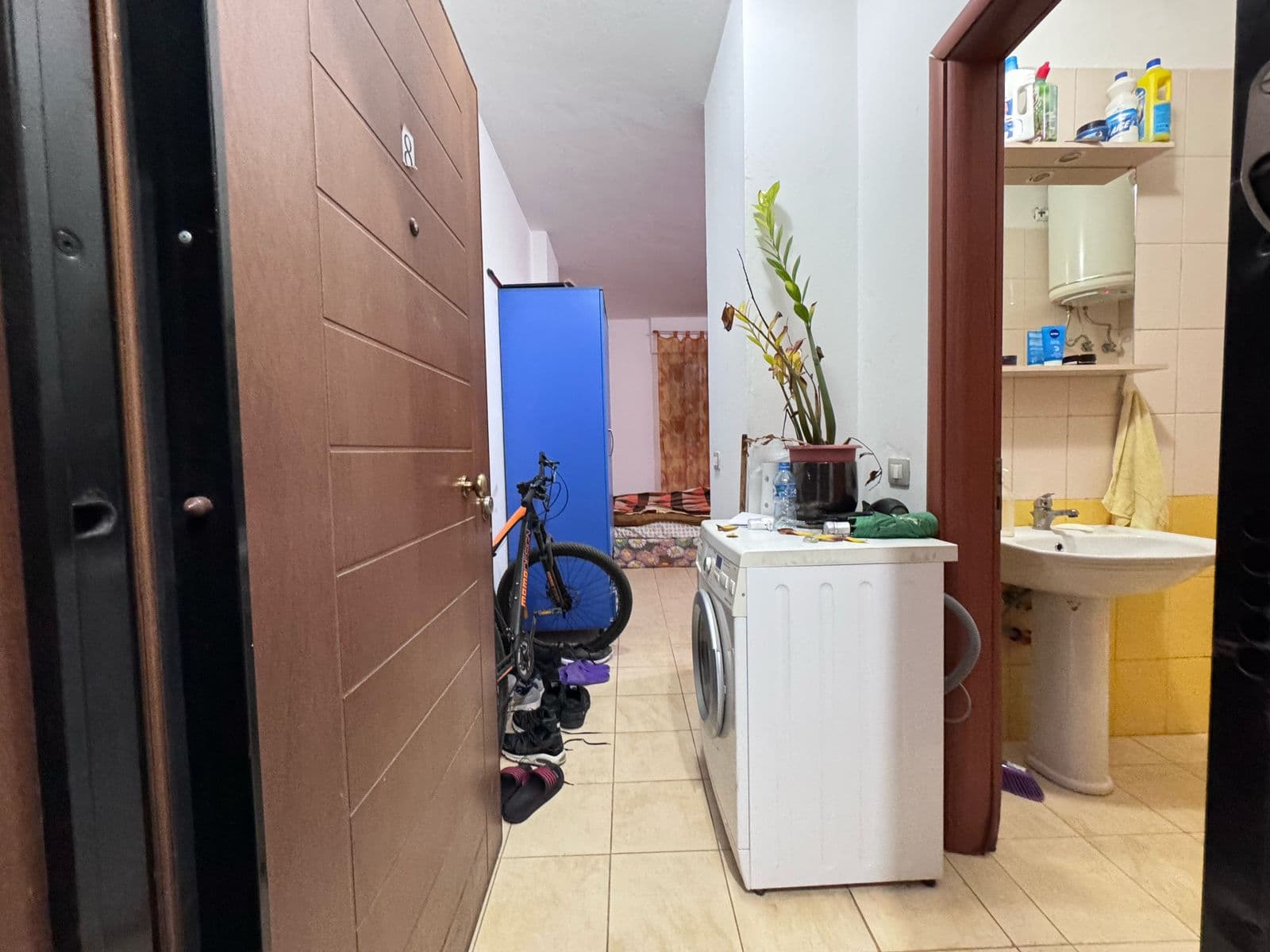 SHITET STUDIO NE KODREN E DIELLIT, TIRANE