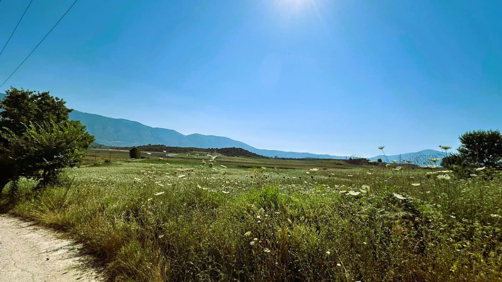 TOKË 13.544 M2 NË TRAGJAS, VLORE 4