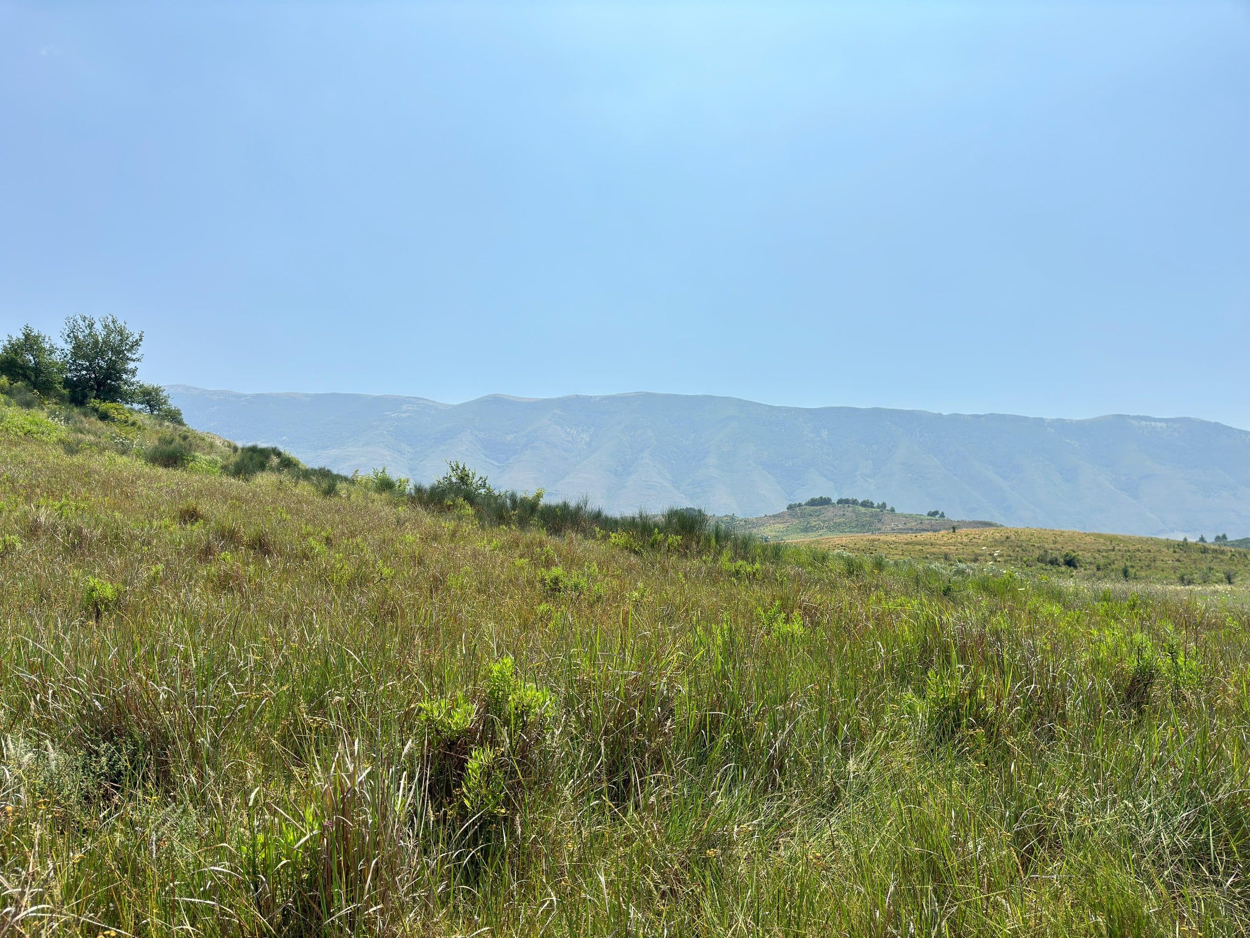 SHITET TOKË 11.000 M² NË TRAGJAS 2