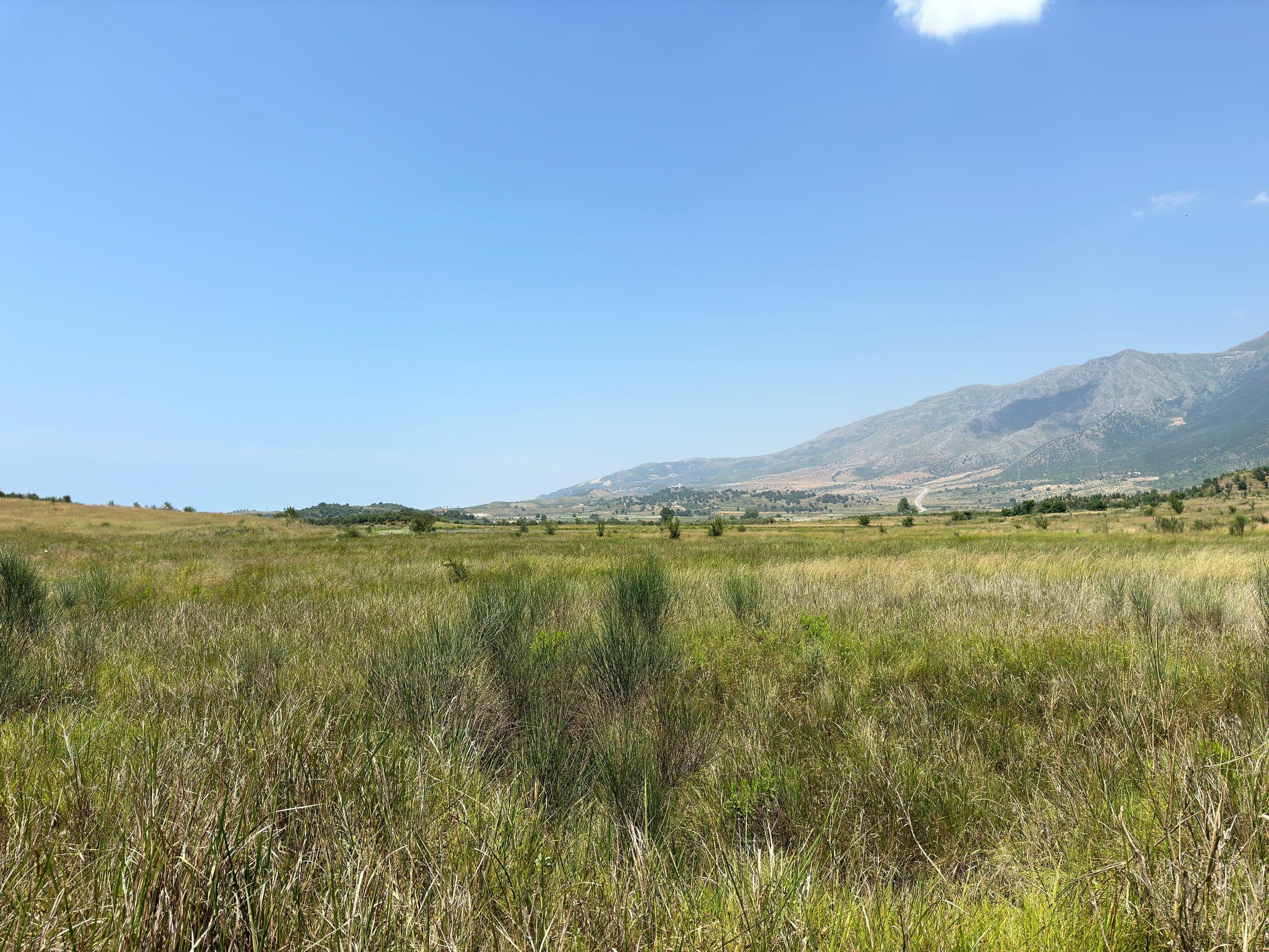 SHITET TOKË 11.000 M² NË TRAGJAS 3
