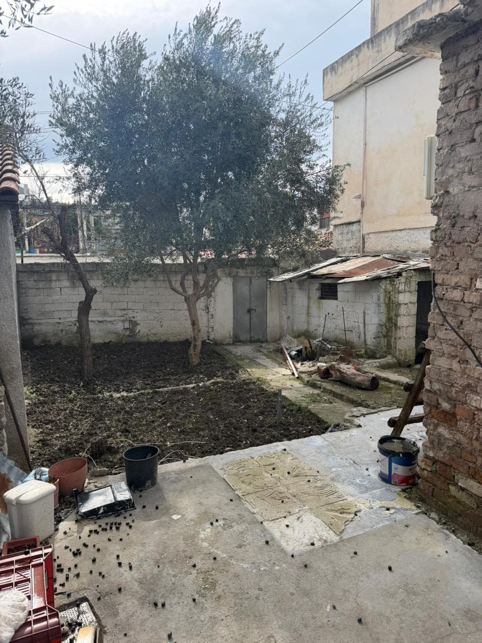 SHITET TRUALL + NDERTESE E VJETER PRANE BASHKISE VLORE 3