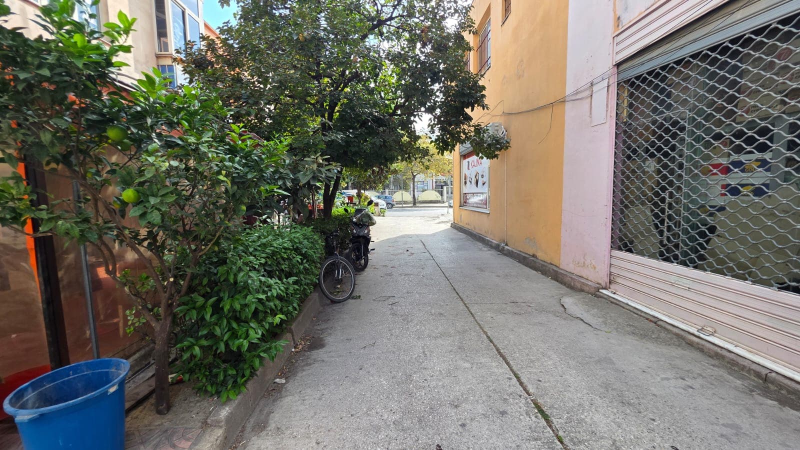 SHITET AMBIENT BIZNESI NË TRANSBALLKANIKE, VLORË 2