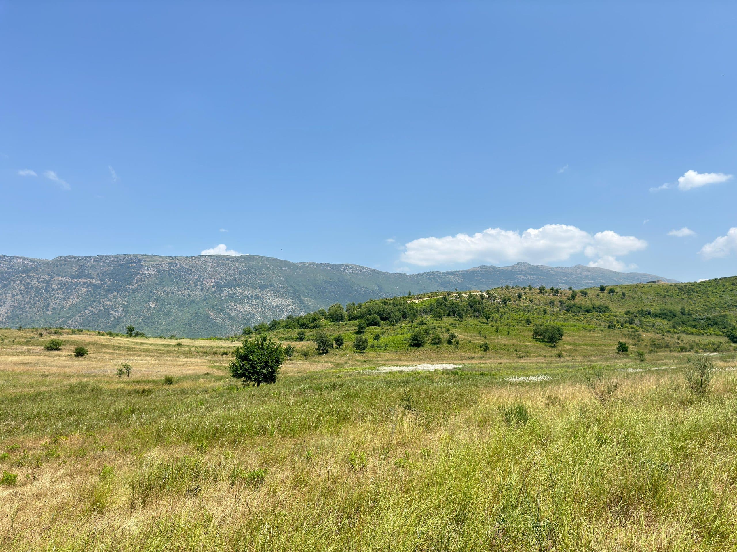 SHITET TOKË 11.000 M² NË TRAGJAS