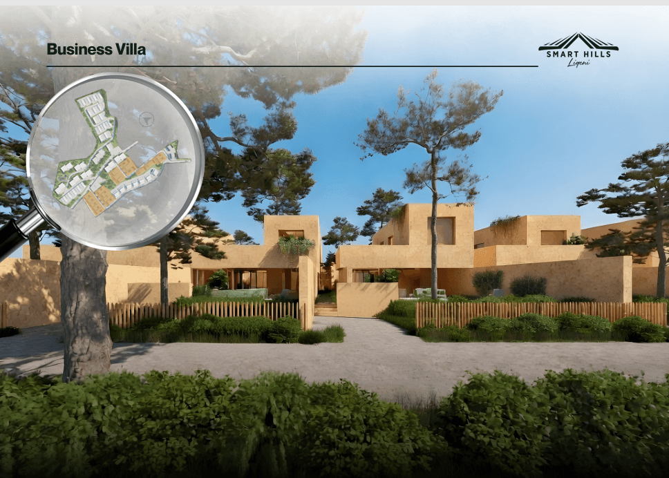 BUSINESS VILLA NE SMART HILLS, LIQENI I FARKES