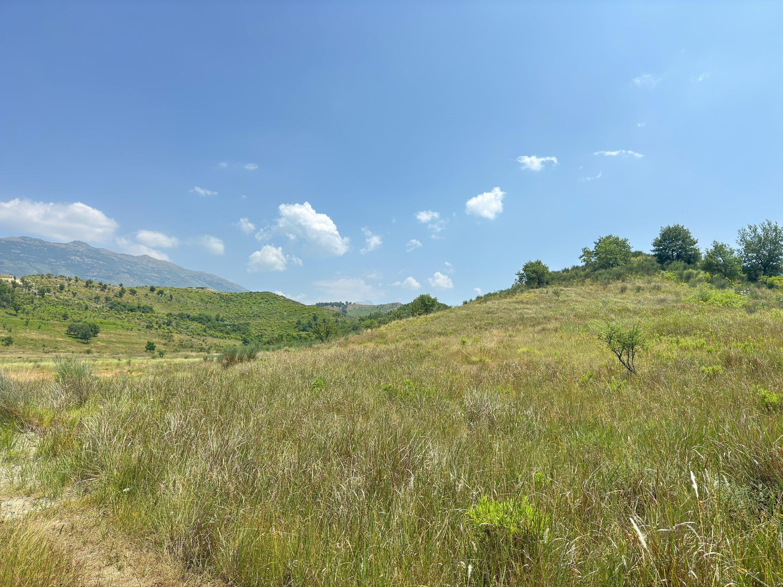 SHITET TOKË 17.000 M² NË TRAGJAS – VENDNDODHJE STRATEGJIKE PËR INVESTIM 4