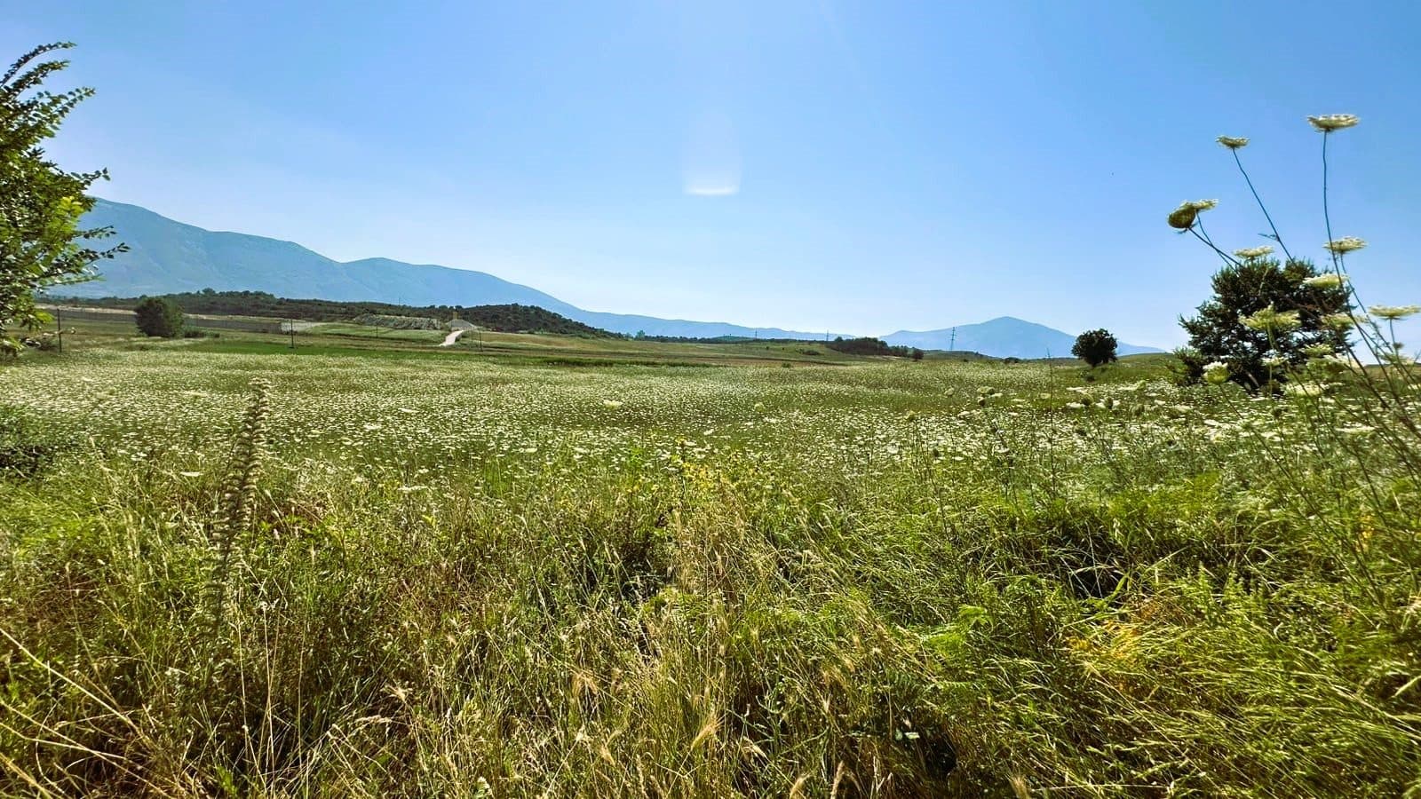 TOKË 13.544 M2 NË TRAGJAS, VLORE 3