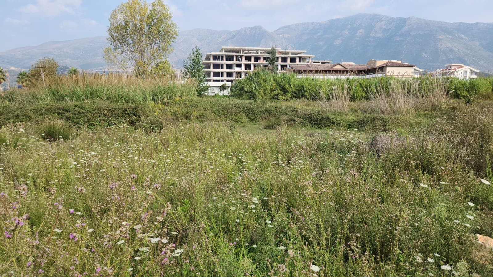 SHITET TOKE VIJE E PARE NE RADHIME, VLORE 3