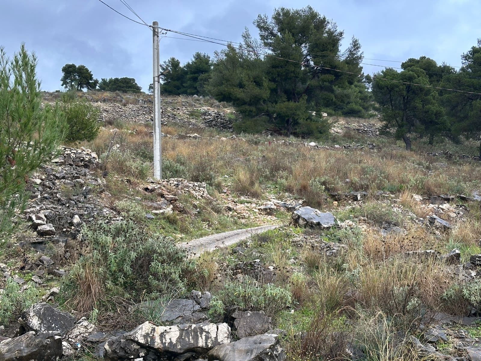 SHITET TOKË NË SARANDË – MUNDËSI IDEALE INVESTIMI! 3