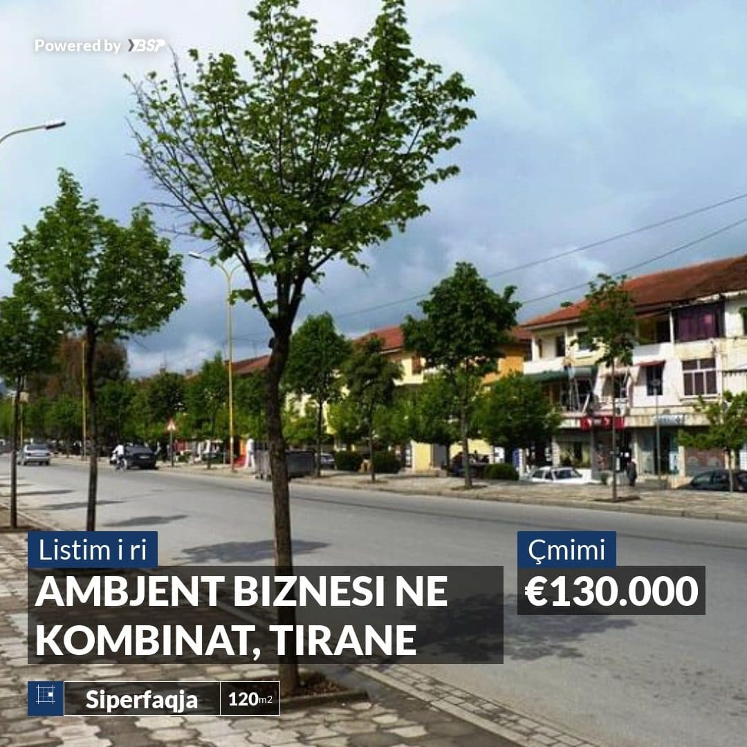 SHITET AMBJENT BIZNESI NE KOMBINAT, TIRANE