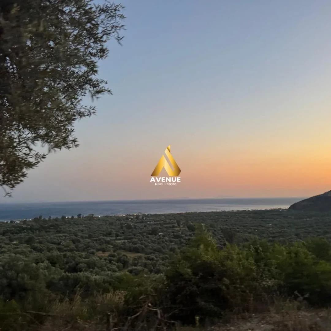 TOKË PËR SHITJE NË BORSH 2